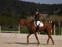 Programme concours début 2012