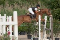 CHAMPIONNAT DEPARTEMENTAL DE HUNTER A FREJUS - 5 JUIN 2012