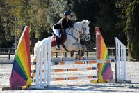 CSO A VILLENEUVE LOUBET - 2 DECEMBRE 2012
