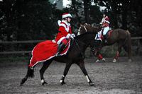 Merci à tous pour cette magnifique journée de Noël!